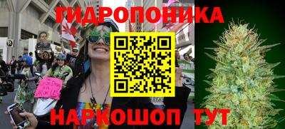 PSILOCYBIN Конаково