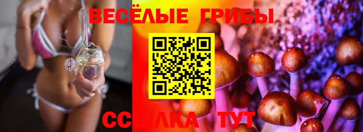 Псилоцибиновые грибы прущие грибы Керчь