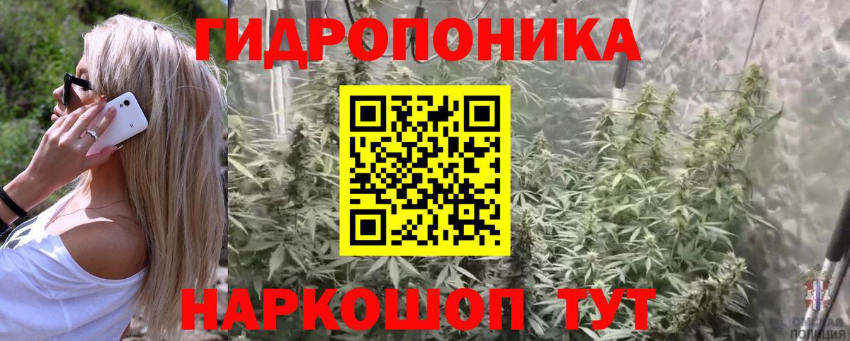 Каннабис Bruce Banner  Вход с VPN  Керчь  МАРИХУАНА семена 